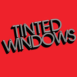 tinted windows cover