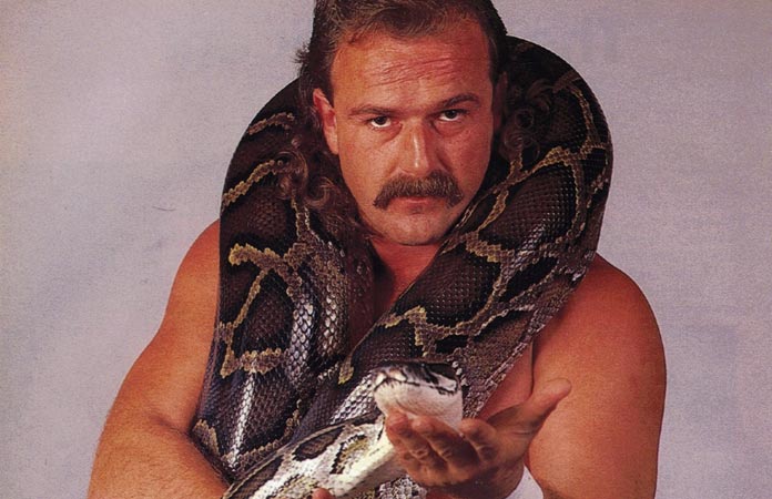 jake-the-snake-roberts-header-graphic