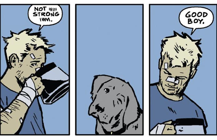 hawkeye-panel